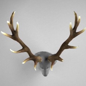 deer antlers head max