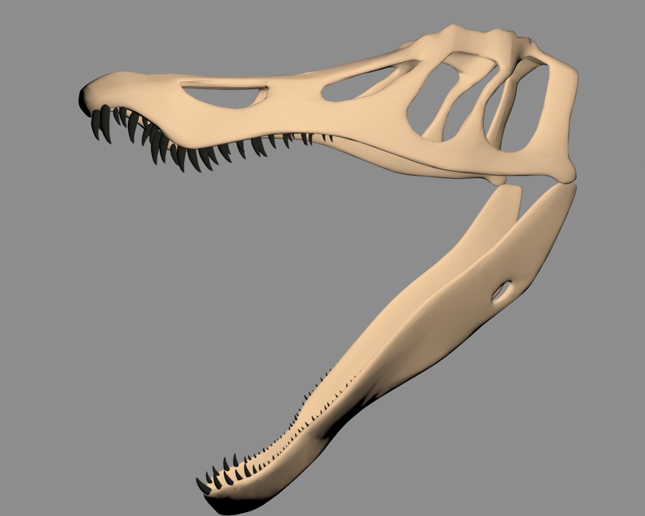 3dsmax Baryonyx Skull 3dsmax Baryonyx Skull