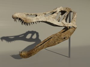 3dsmax baryonyx skull