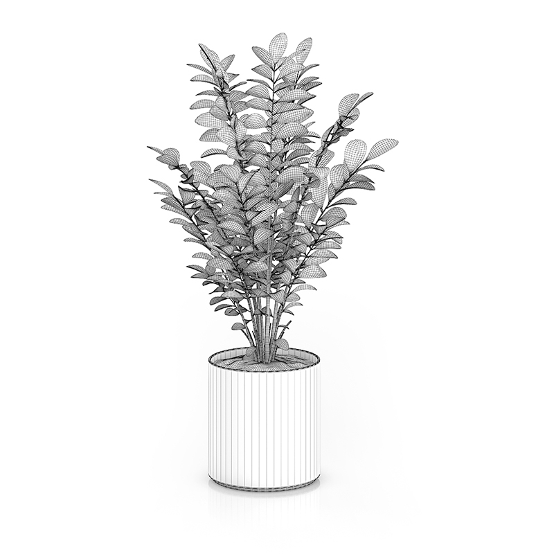 3d plant pot model