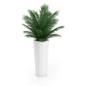 3ds max palm tree pot