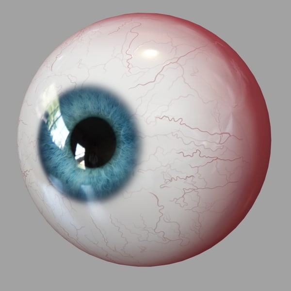 3d model eyes human realistic eyeball