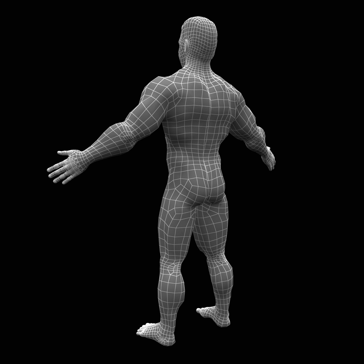 3d bodybuilder character man