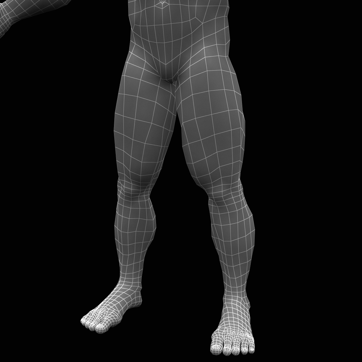 3d bodybuilder character man
