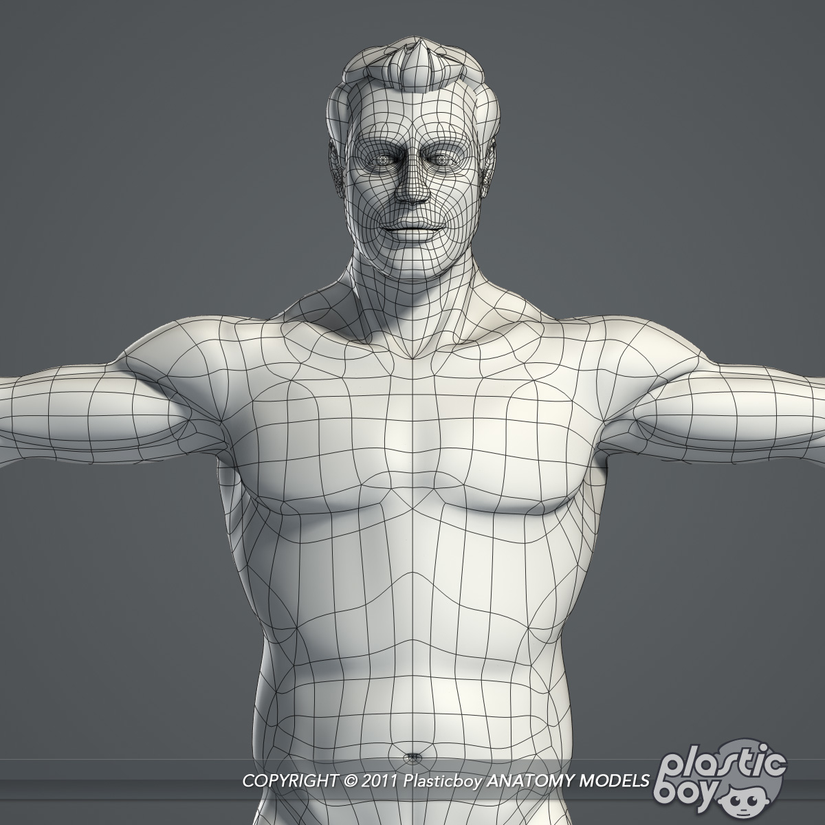 3d model rigged male body muscular