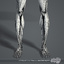 3d model rigged male body muscular