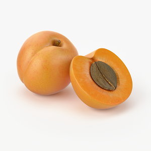 realistic apricot real max