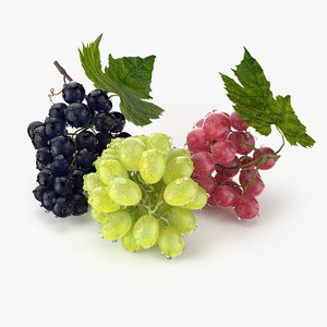 3d c4d realistic grapes fruit real