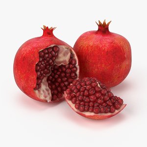 3d model realistic pomegranate fruit real
