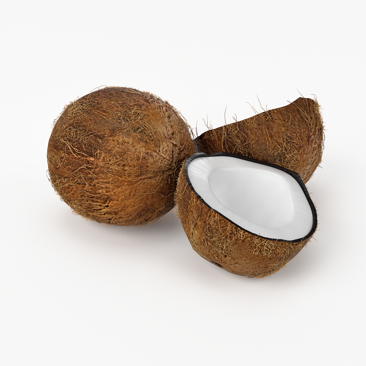realistic coconut
