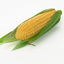 3ds max realistic corn real