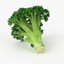 3d realistic broccoli real model