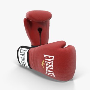 3d everlast boxing gloves
