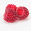 3d realistic raspberry real fruit model