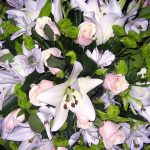 flowers 1