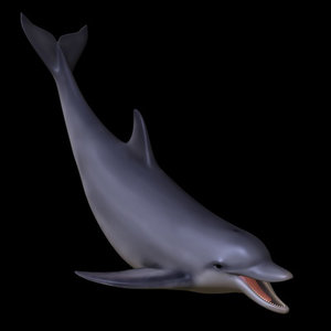 dolphin delfine 3d model
