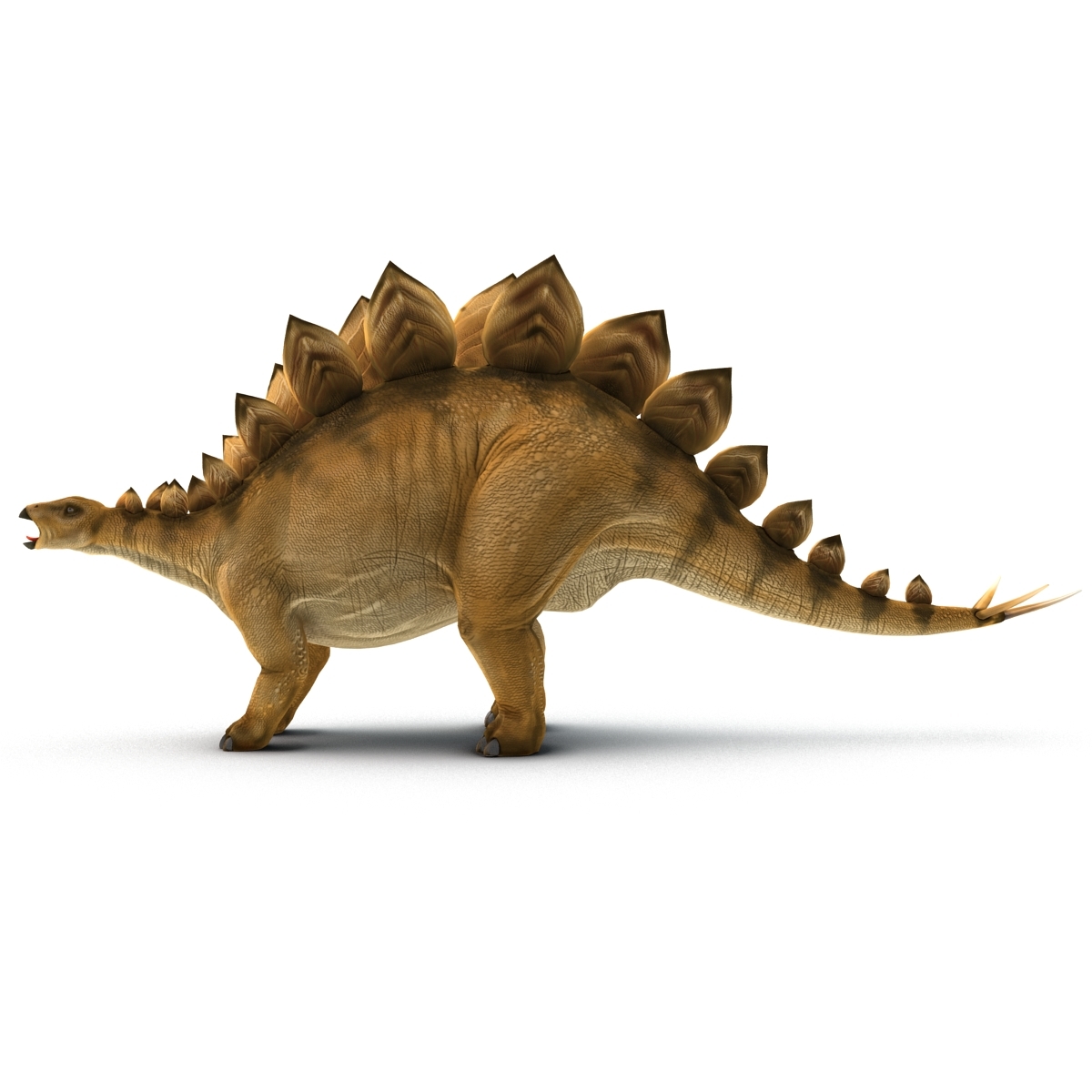 stegosaurus 3d google
