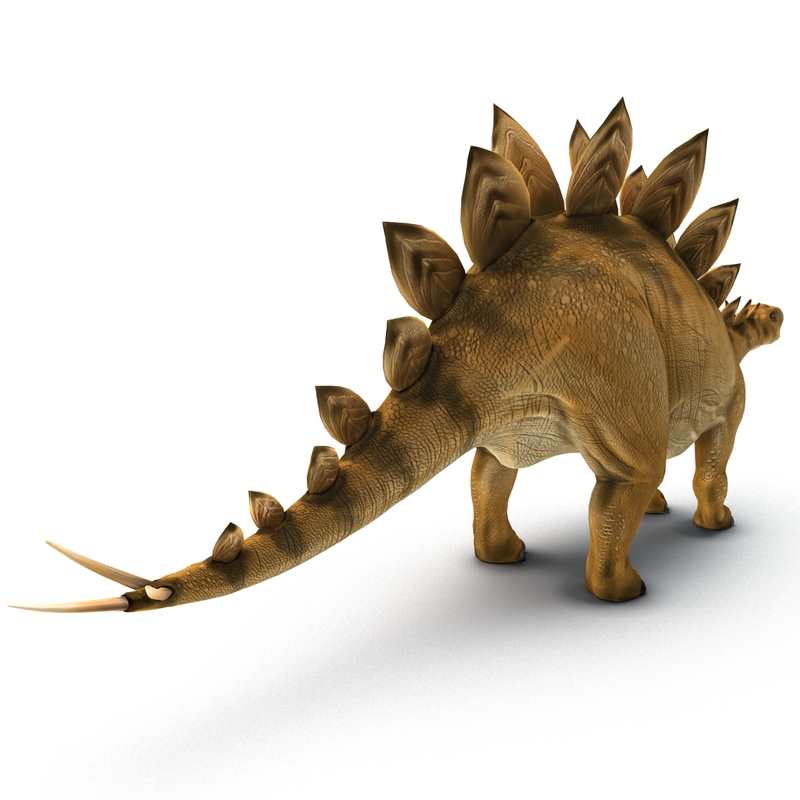 stegosaurus view in 3d