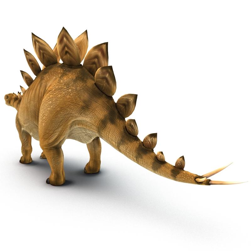 stegosaurus view in 3d