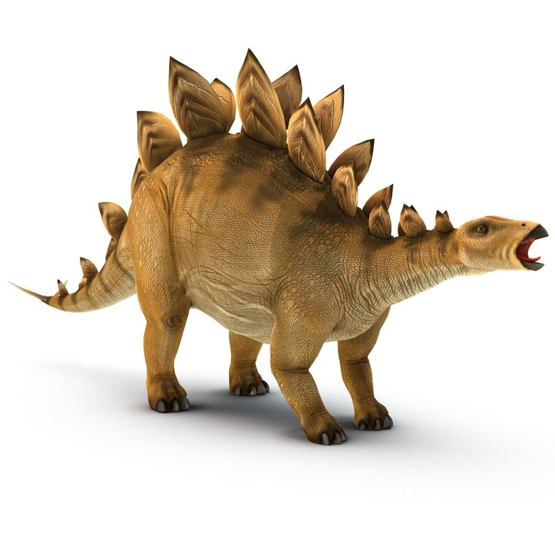 stegosaurus in 3d