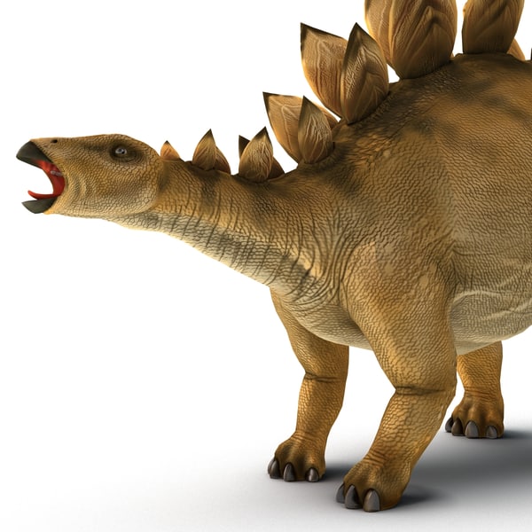 stegosaurus view in 3d
