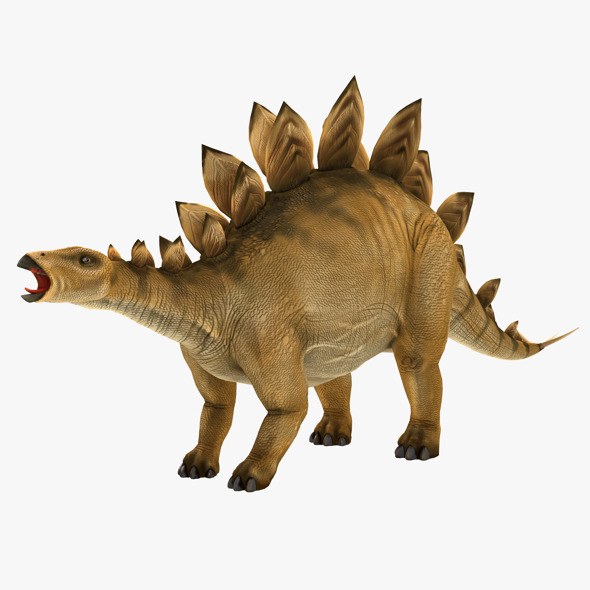 stegosaurus skeleton model