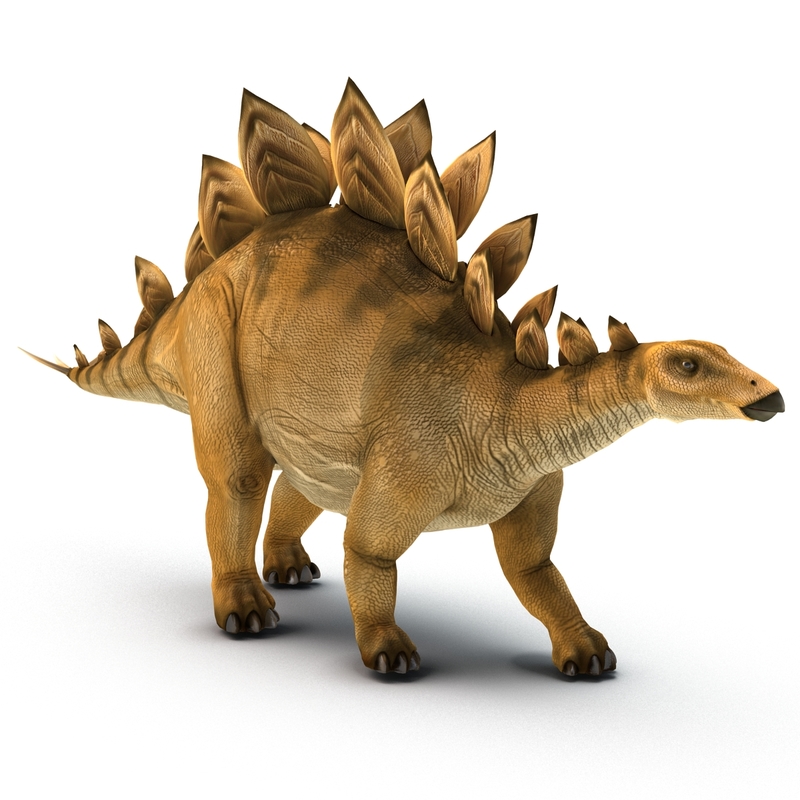 stegosaurus 3d google