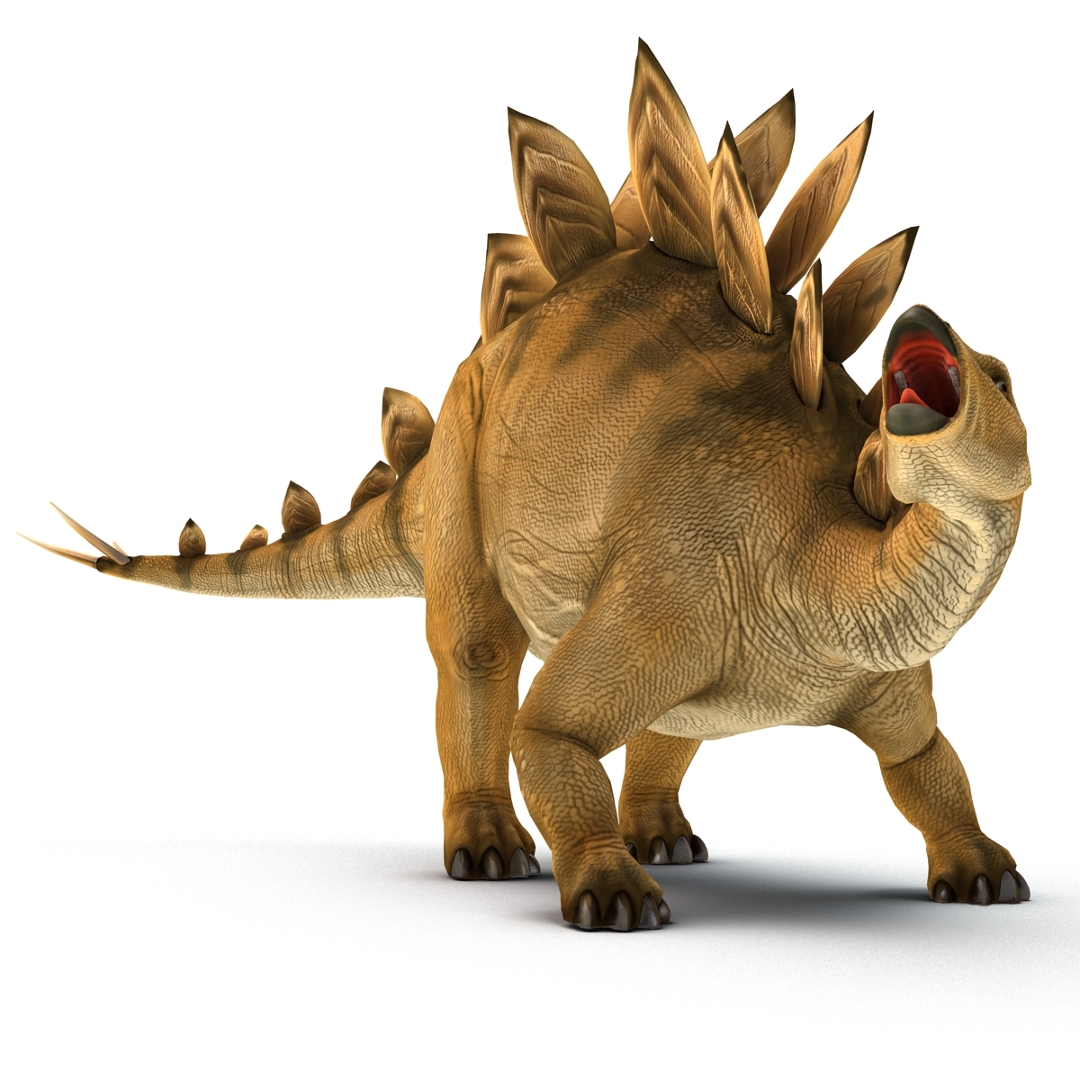 stegosaurus 3d google