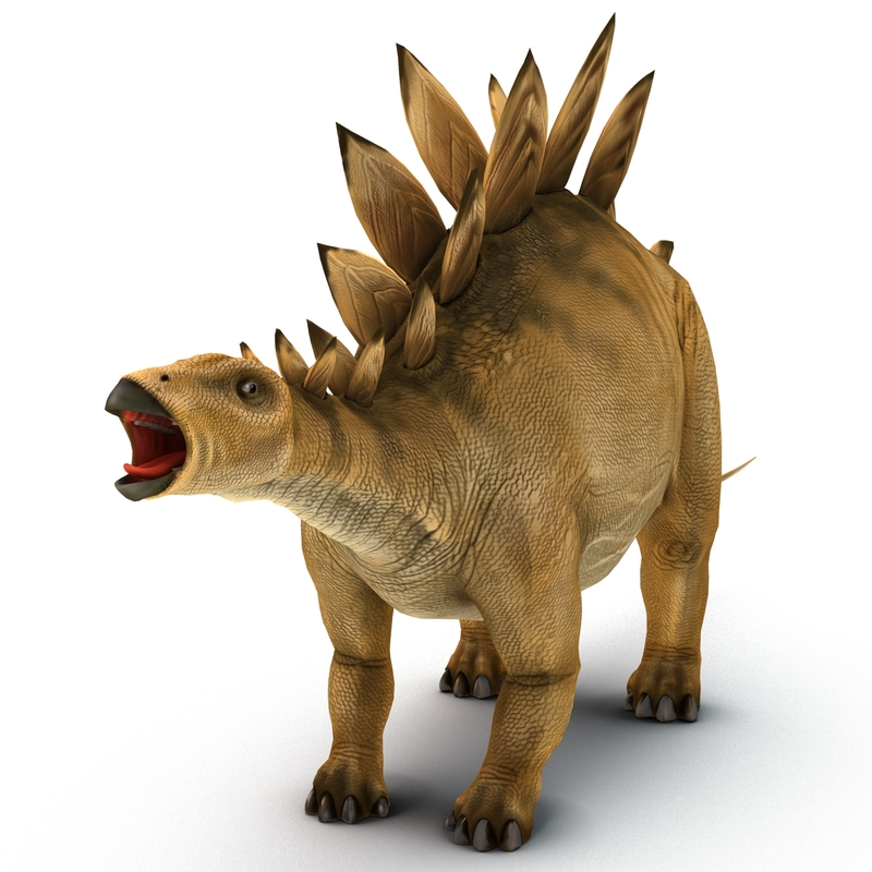 stegosaurus 3d google