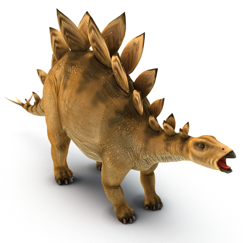 stegosaurus 3d google