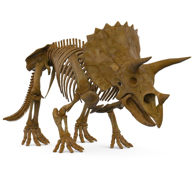 triceratops og velociraptor