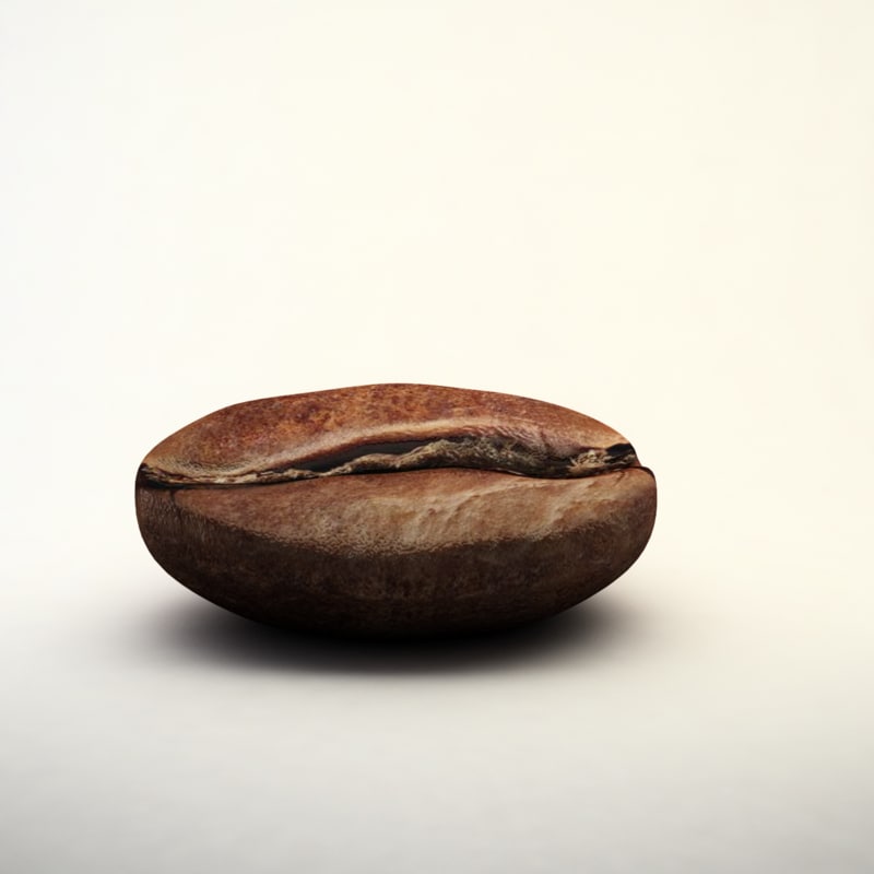 3d coffee bean model https://static.turbosquid.