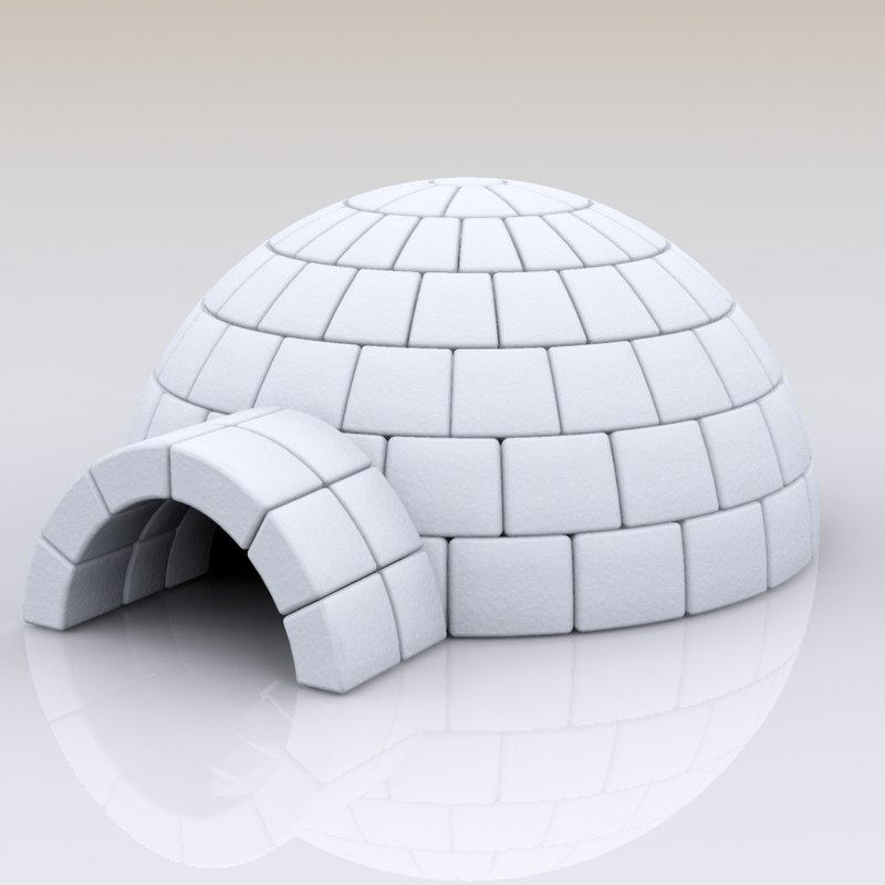 igloo house max