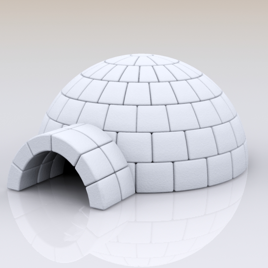 igloo house max