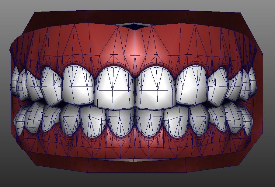 人類的牙齒3d模型