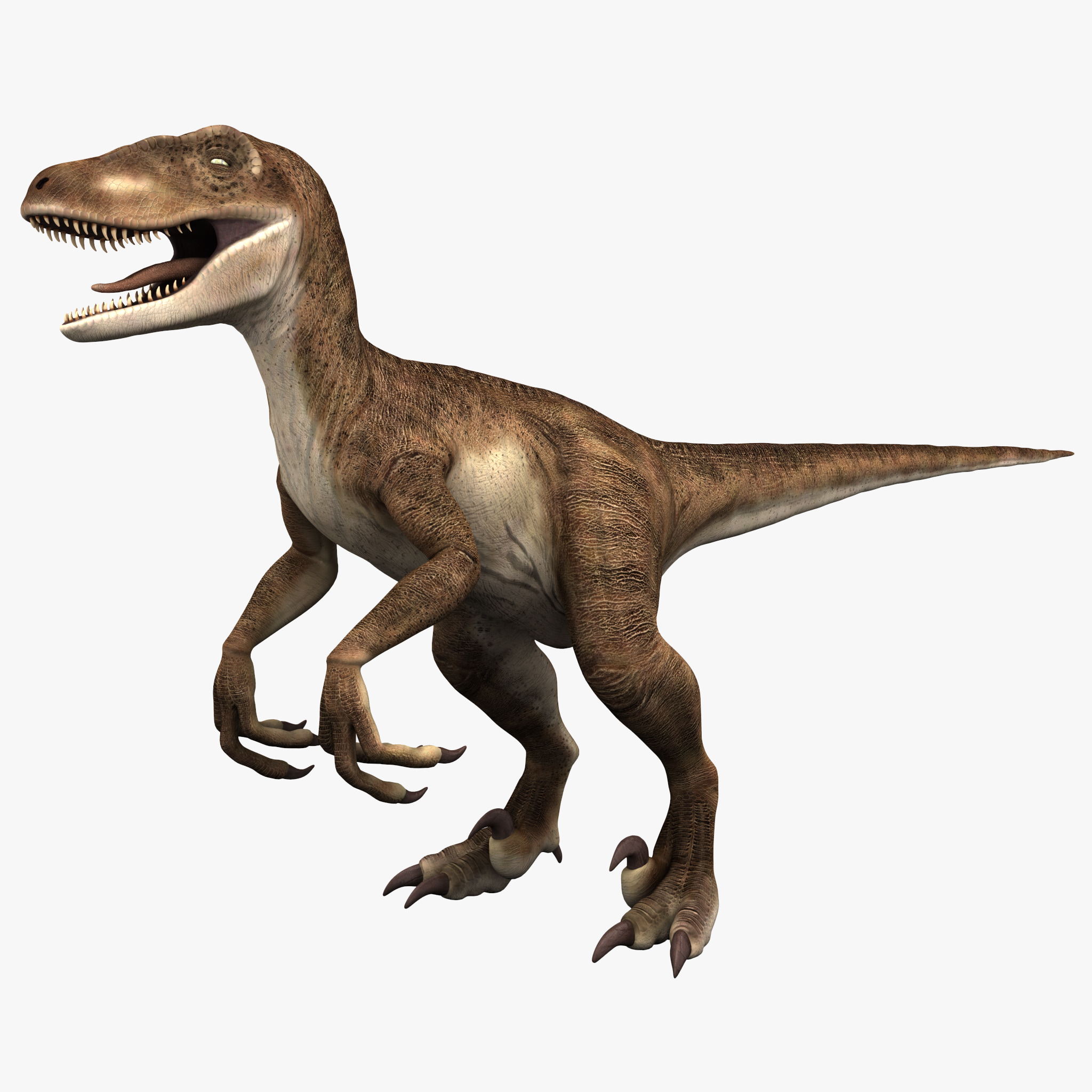 fastest raptor dinosaur