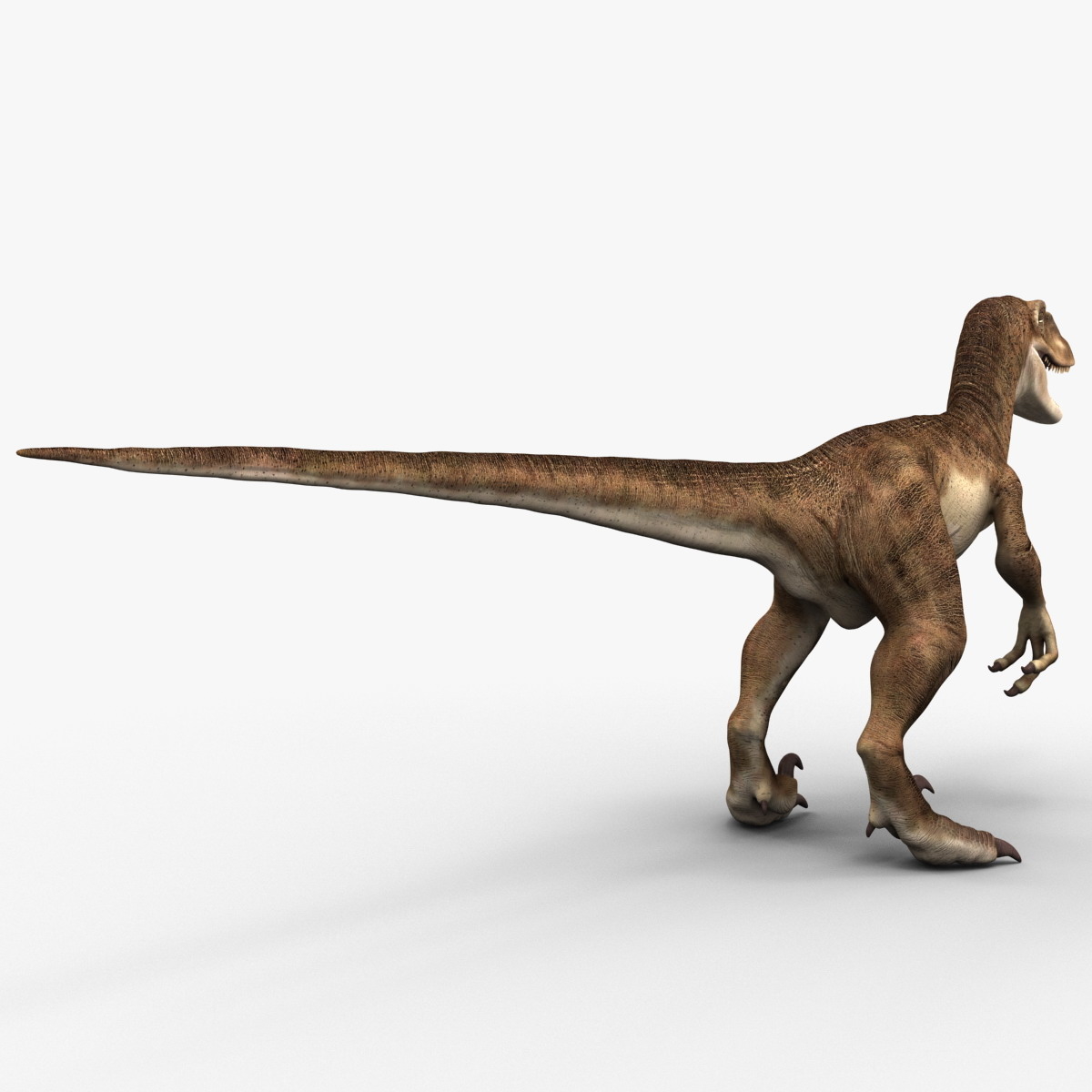 raptor dinosaur 3d