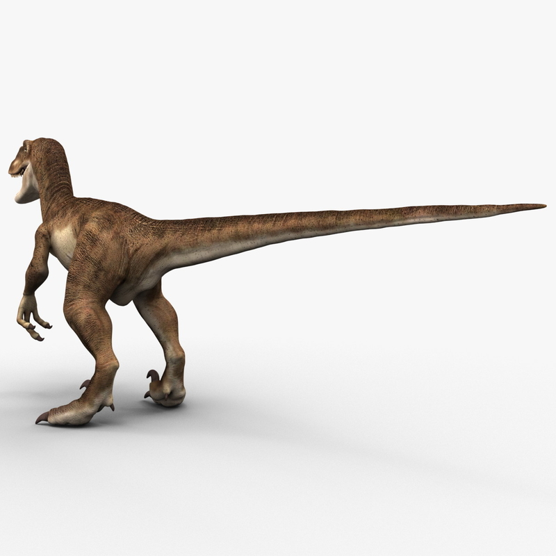 3d view of dinosaur