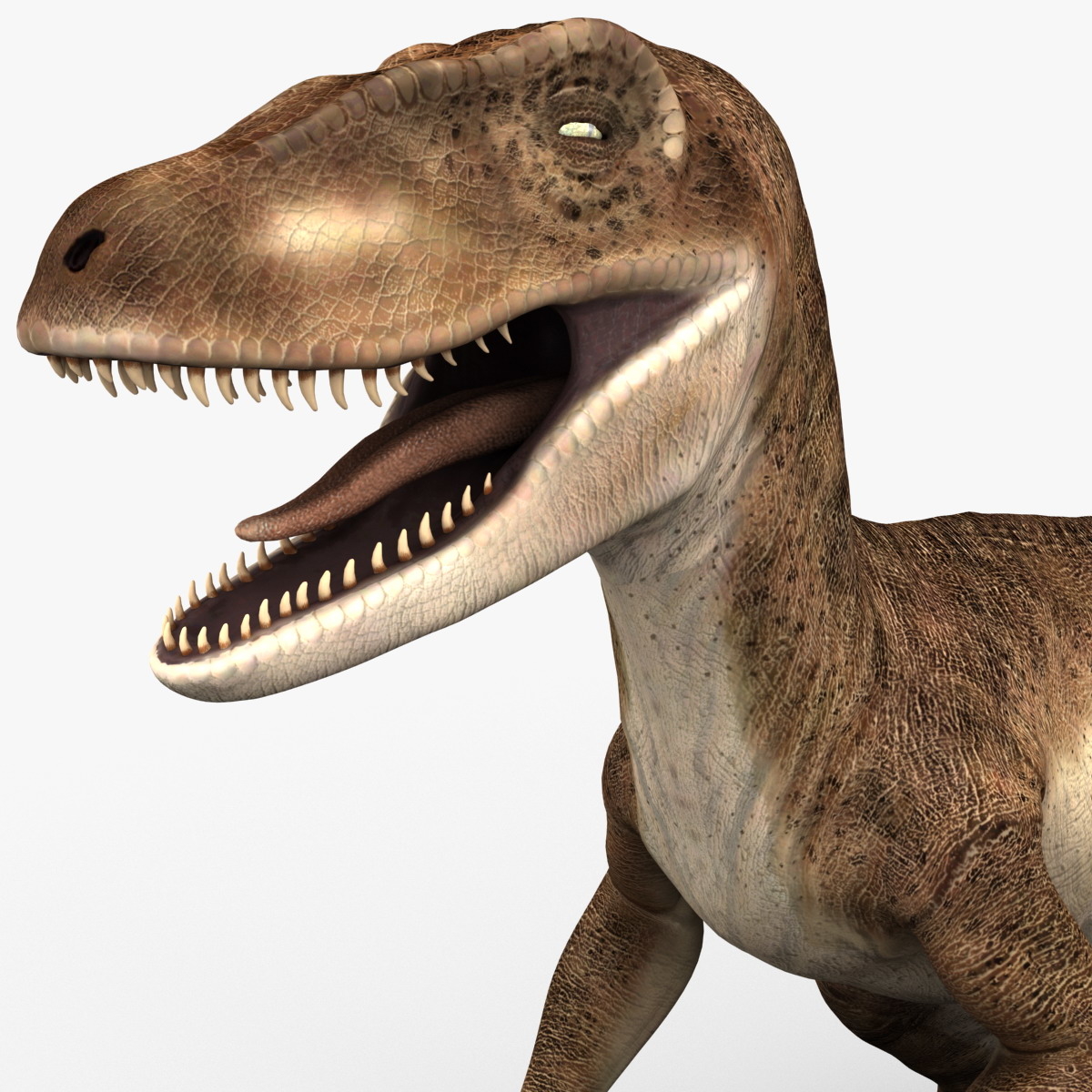 raptor dinosaur 3d