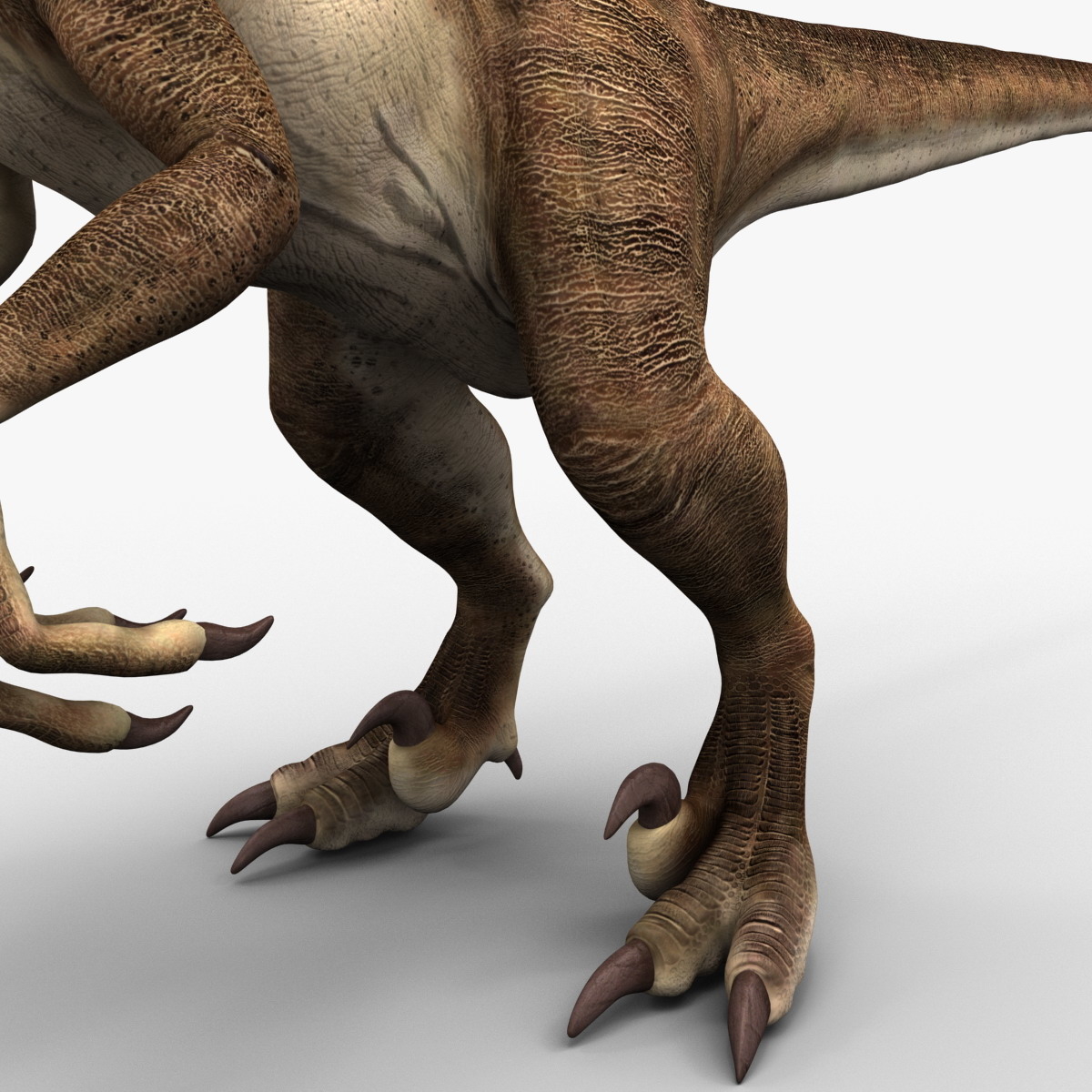 raptor dinosaur 3d