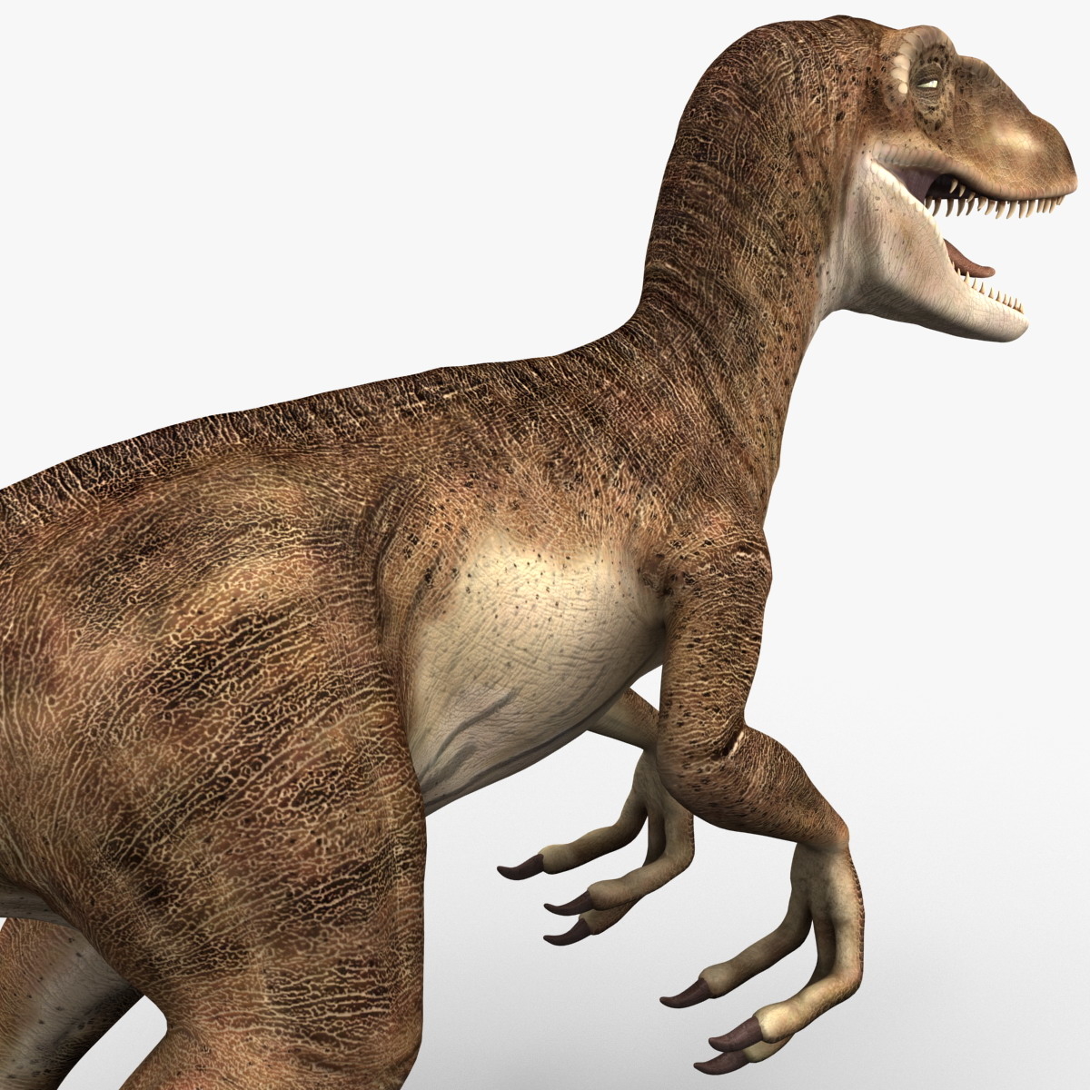 a dinosaur raptor