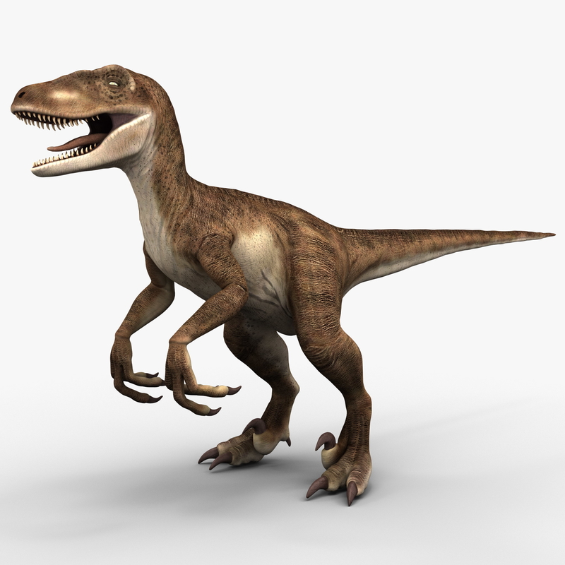 raptor dinosaur 3d