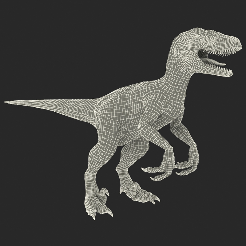 velcro raptor dinosaur