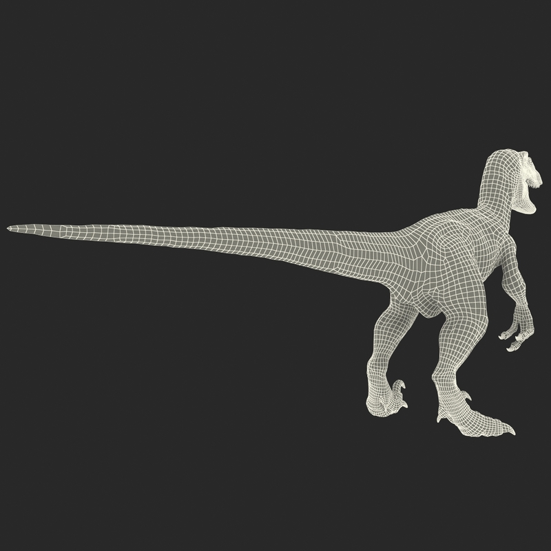 raptor dinosaur 3d