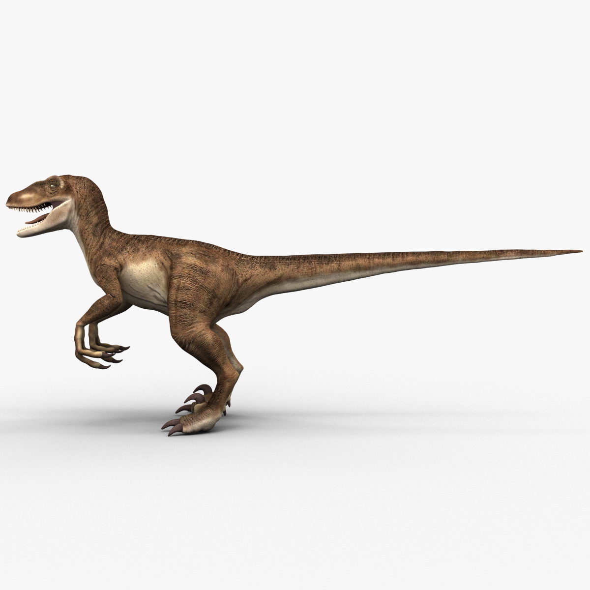 raptor dinosaur 3d