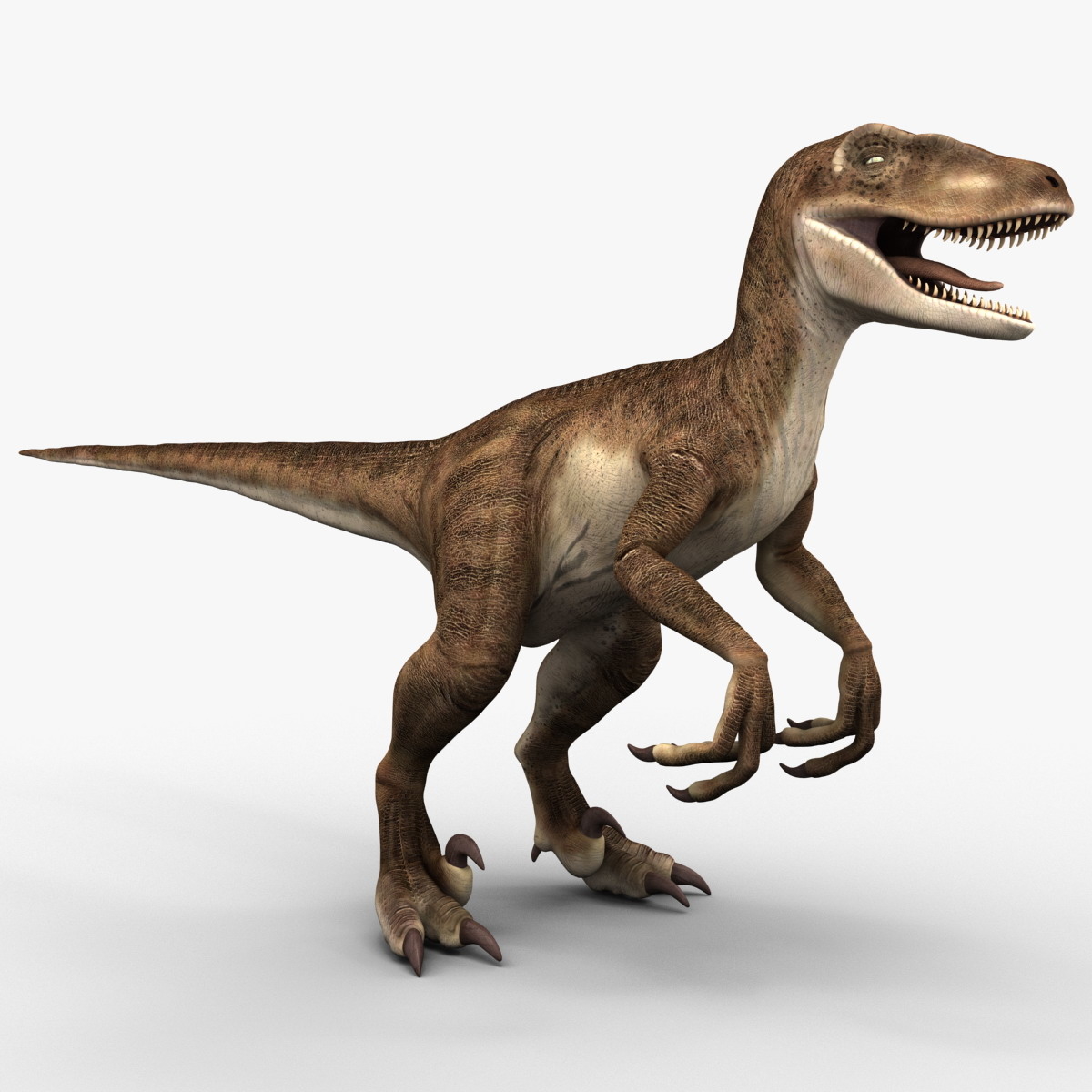 raptor dinosaur 3d model