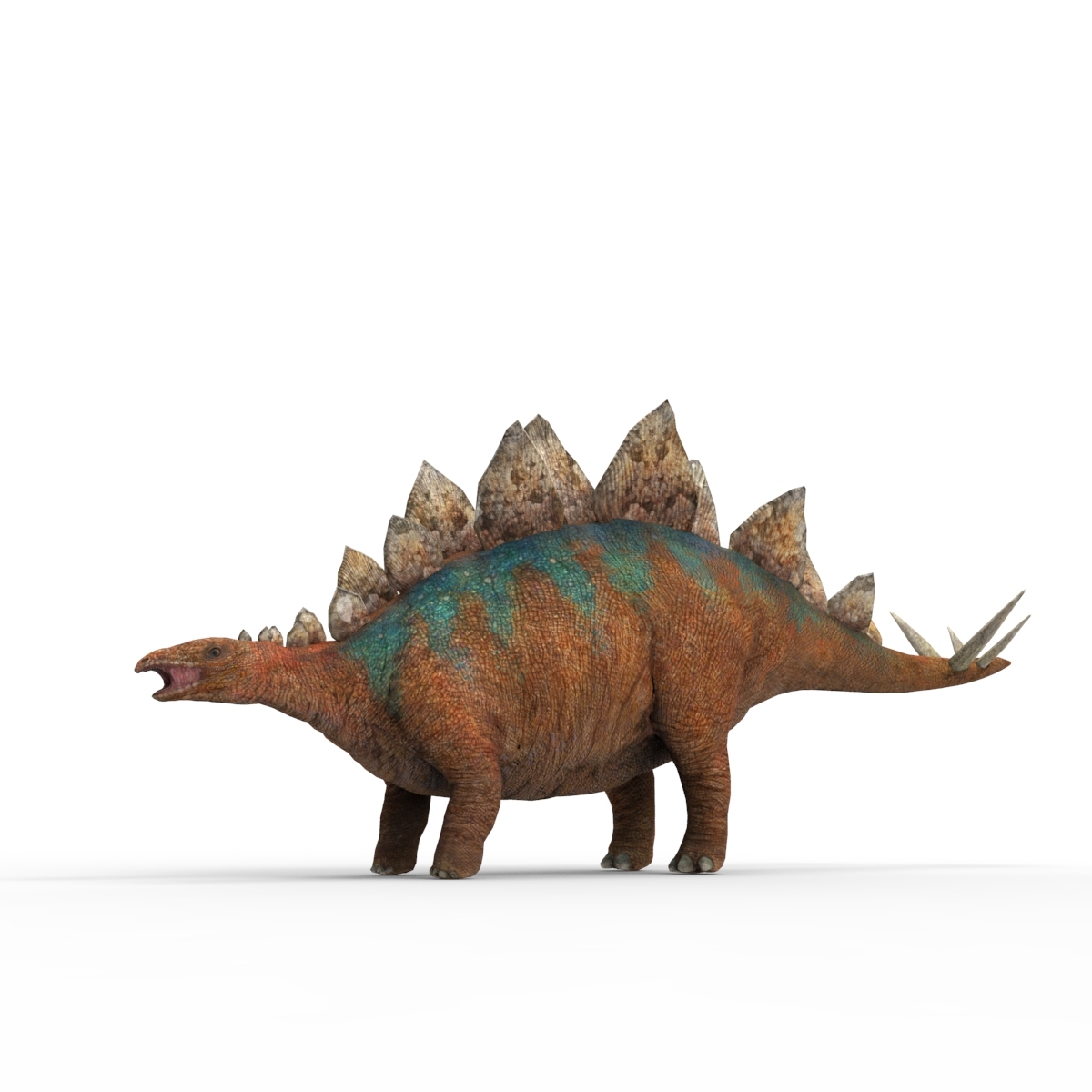 stegosaurus 3d google