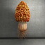 3dsmax mushroom shroom morel