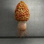 3dsmax mushroom shroom morel