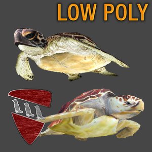 3d sea turtles pack model